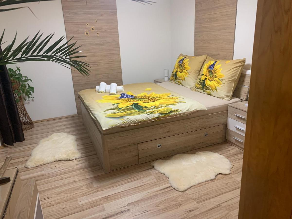 Apartman Slunecnice S Terasou 捷克布杰约维采 外观 照片