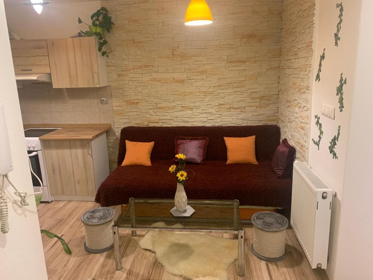 Apartman Slunecnice S Terasou 捷克布杰约维采 外观 照片