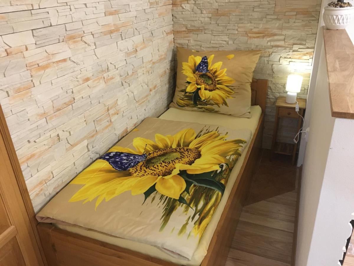Apartman Slunecnice S Terasou 捷克布杰约维采 外观 照片