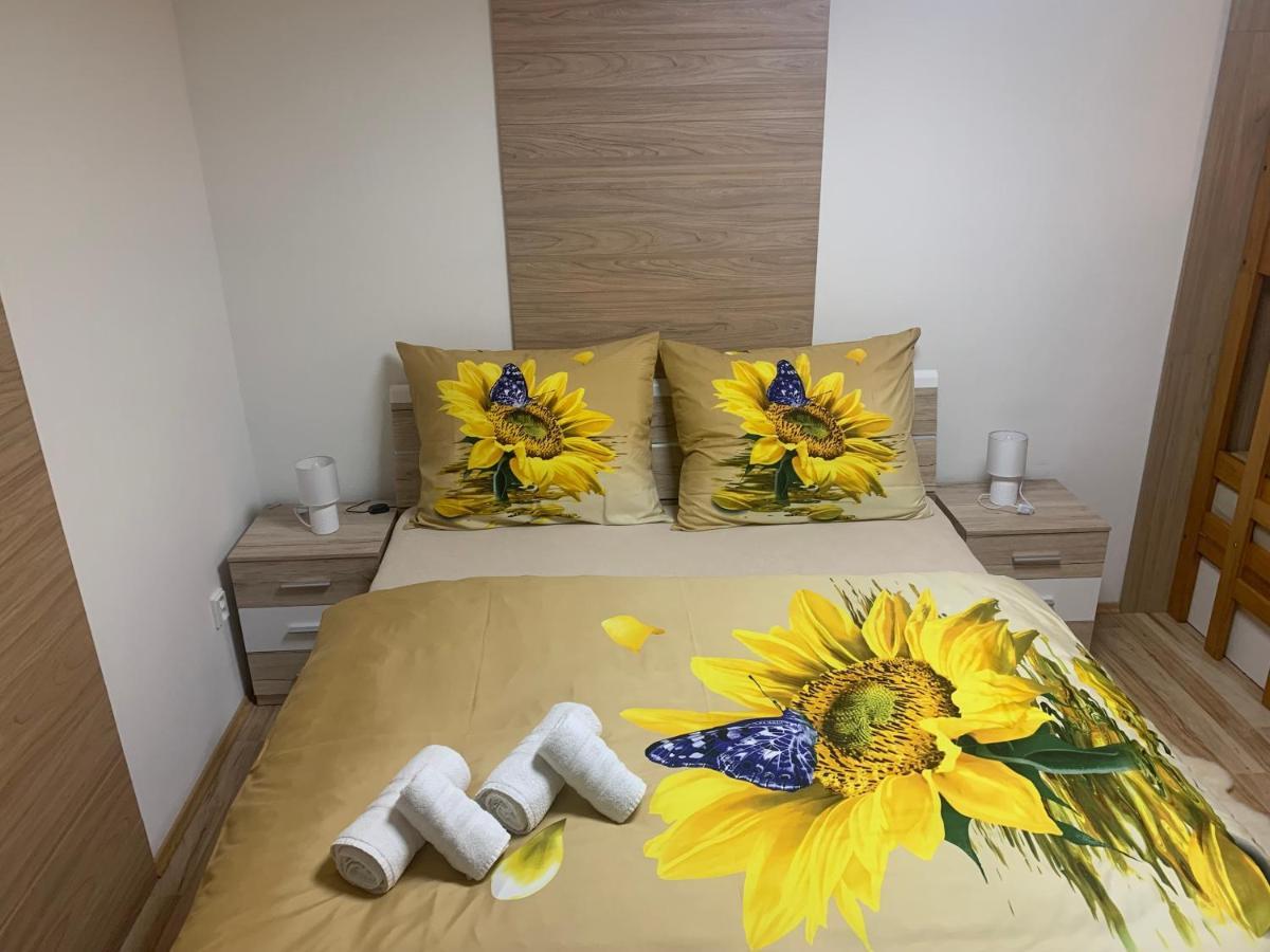 Apartman Slunecnice S Terasou 捷克布杰约维采 外观 照片
