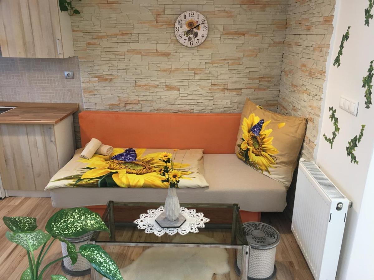 Apartman Slunecnice S Terasou 捷克布杰约维采 外观 照片