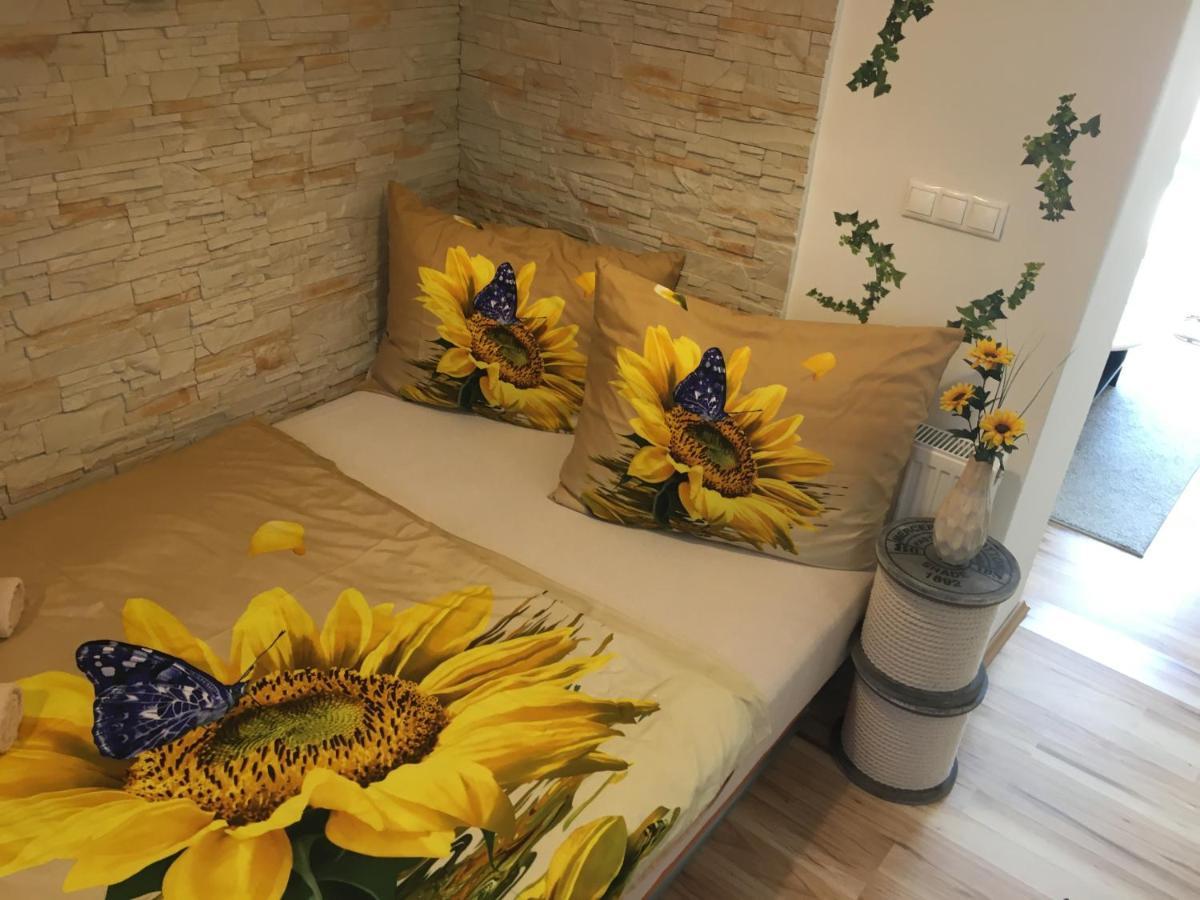 Apartman Slunecnice S Terasou 捷克布杰约维采 外观 照片